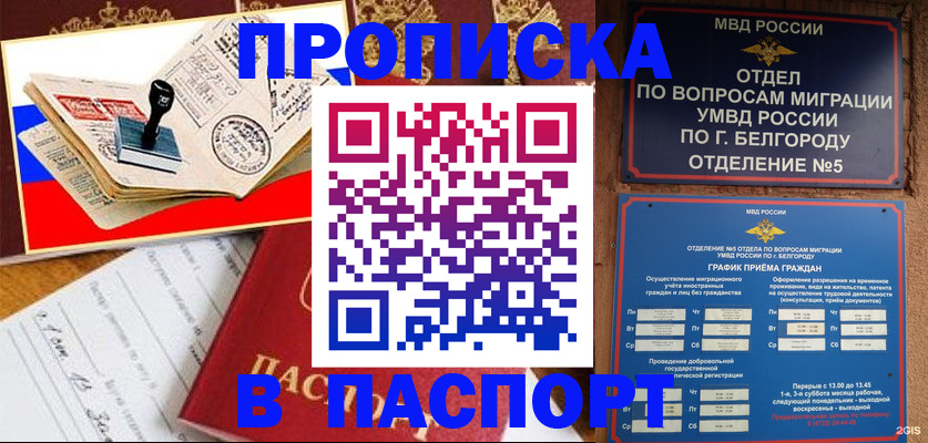 купить прописку в Хилке